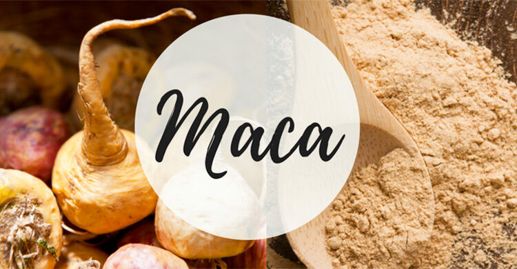 Maca