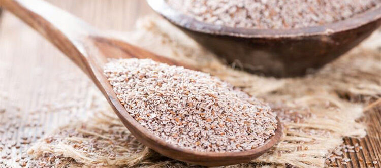 Psyllium Husk