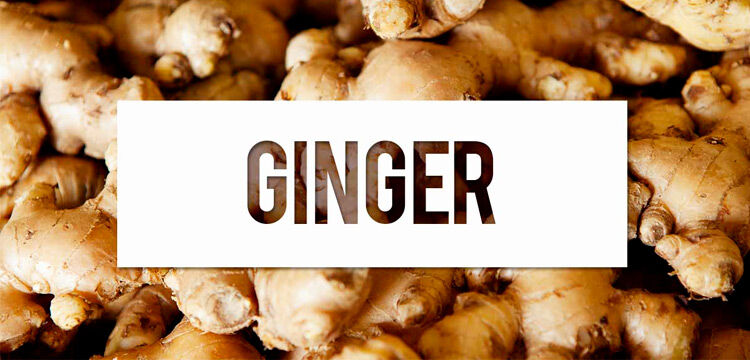 Ginger Root Powder