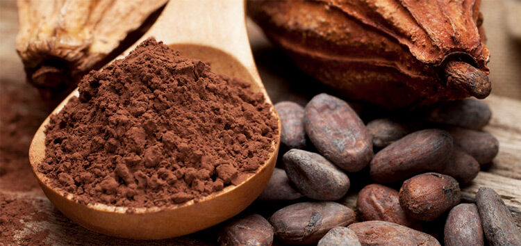 Cacao Powder