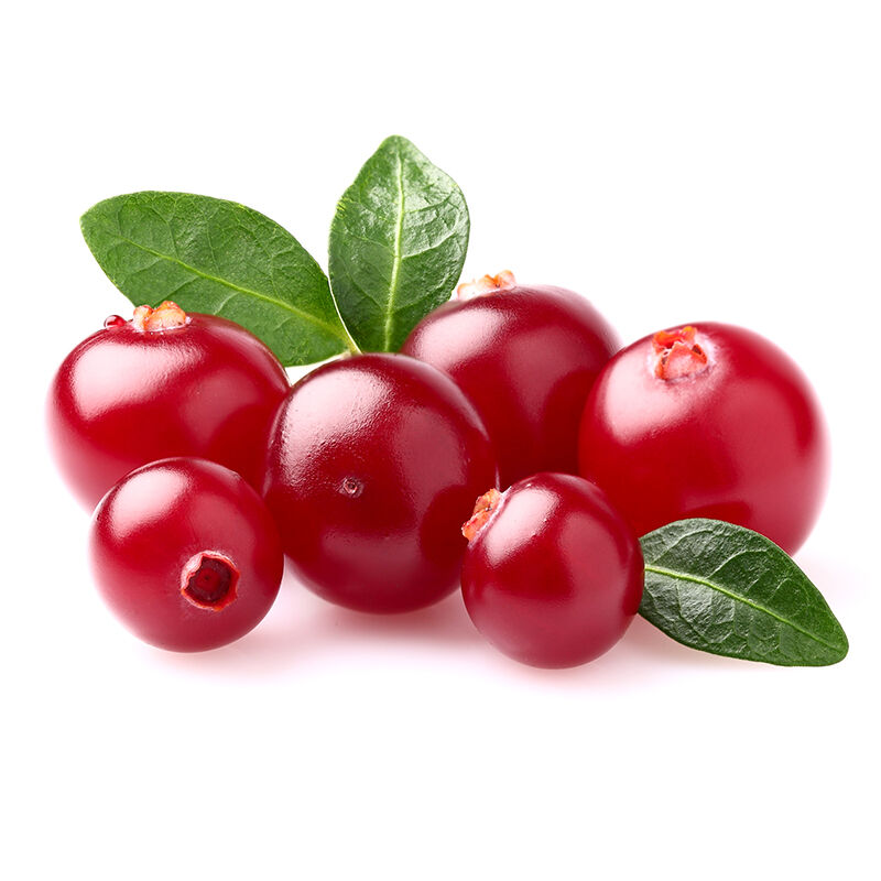 Cranberry Forte Akut