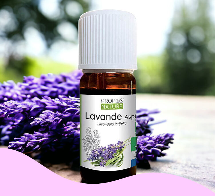 Ätherisches Öl Aspik-Lavendel Bio