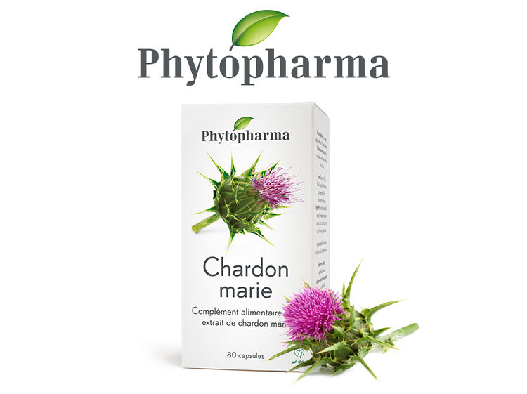 Chardon marie