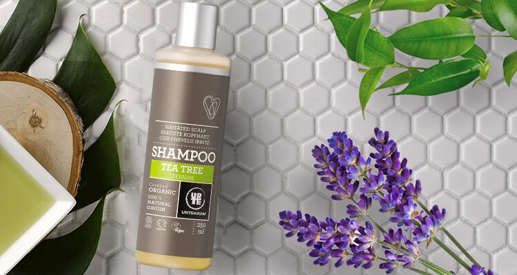 Shampoo Tea Tree