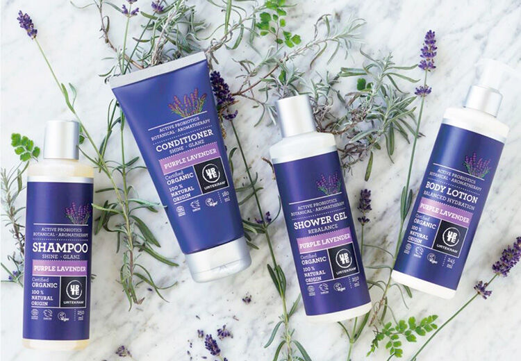 Body Lotion Purple Lavender