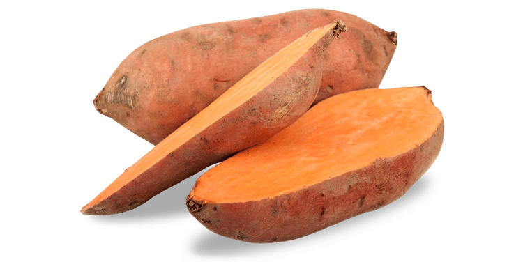 Sweet Potato