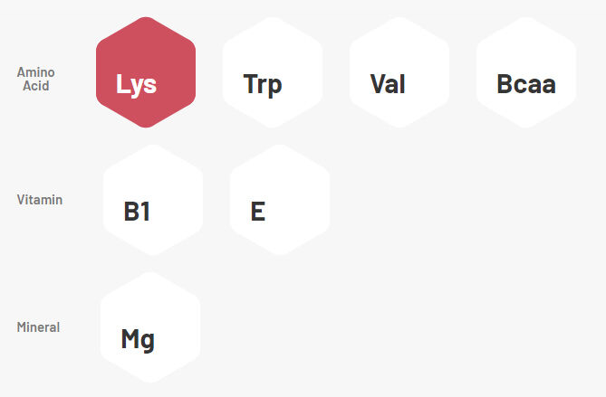 Mybiopassport Sport Performance