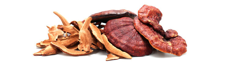 Reishi Mono