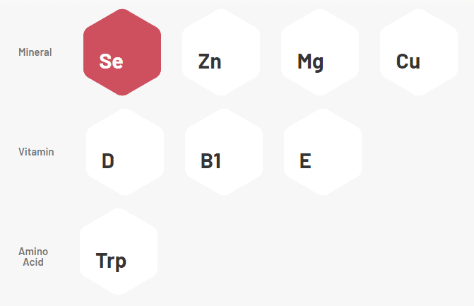 Mybiopassport Nutrition