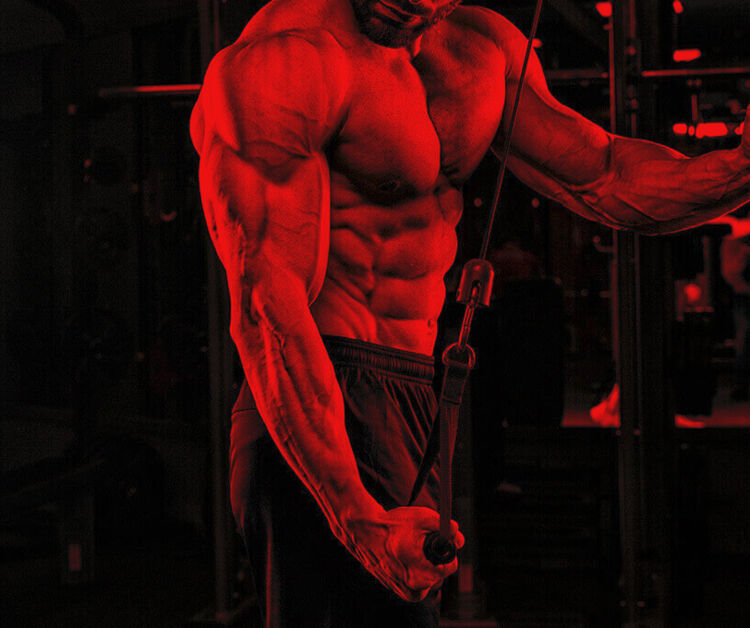 Beta Alanine