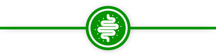 Colon Cleanse