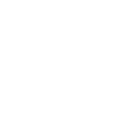 Fit 1.0