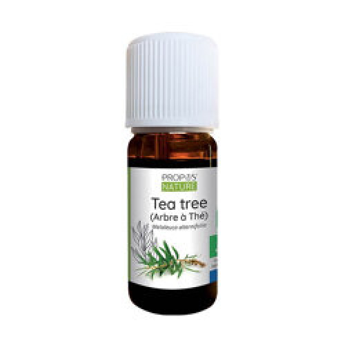 Huile Essentielle Tea Tree Bio : Ätherisches Bio-Öl