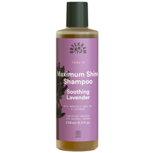 Shampoo Purple Lavender : Shampoing Bio à la lavande