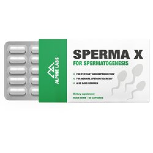 sperma X : Complexe pour la spermatogense