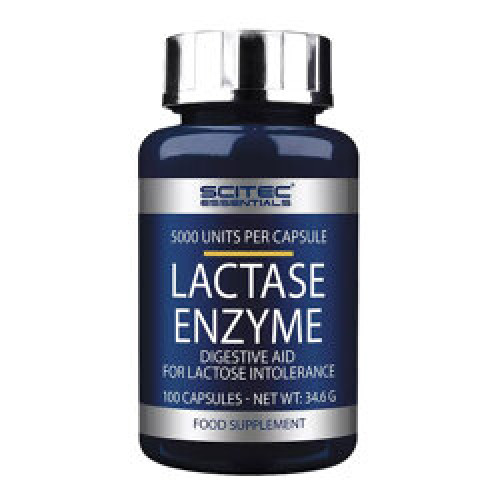 Lactase Enzyme : Enzyme digestive